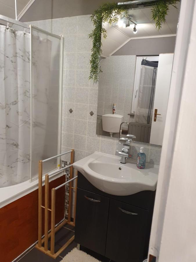 גוטץ' אים בריסגאו Ferienwohnung Am Siegelbaechle Mit E-Bikes Vermietung מראה חיצוני תמונה